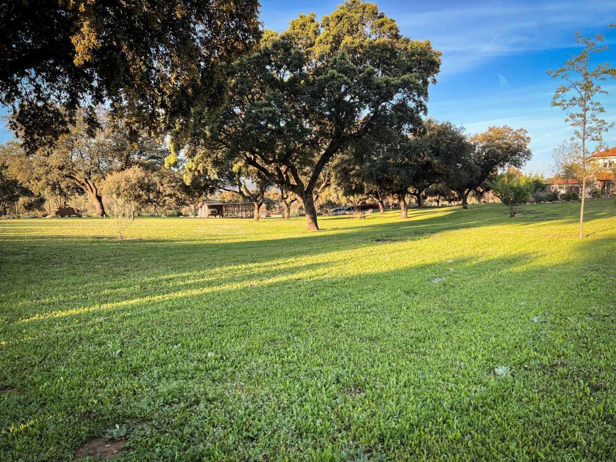 La Encina Guapa Casa Rural 20,000M2 De Intimidad Villa La Iglesuela Eksteriør bilde