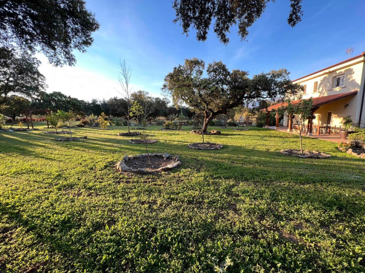 La Encina Guapa Casa Rural 20,000M2 De Intimidad Villa La Iglesuela Eksteriør bilde