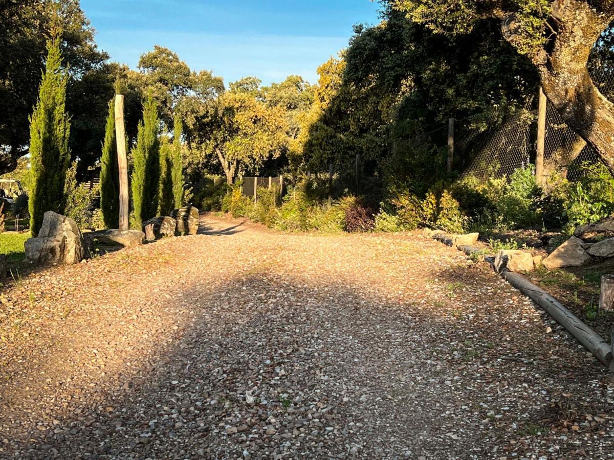 La Encina Guapa Casa Rural 20,000M2 De Intimidad Villa La Iglesuela Eksteriør bilde